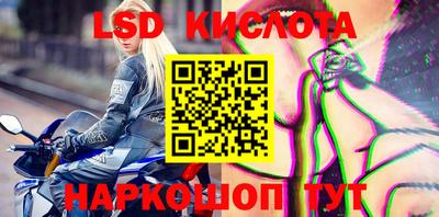 PSILOCYBIN Бугуруслан